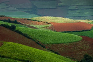 Images Dated 13th October 2012: Hongtudi, Dongchuan red soil of Yunnan, China