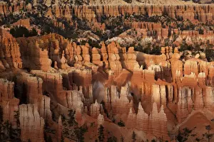 Eroding Prints: Hoodoos, Bryce Canyon National Park, Bryce, Utah, USA, America