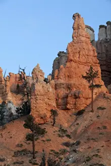 Eroding Prints: Hoodoos, Bryce Canyon National Park, Bryce, Utah, USA, America
