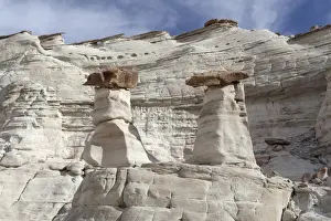 Shaped Prints: Hoodoos, pillars of limestone rock, White Rocks, Page, Utah, USA