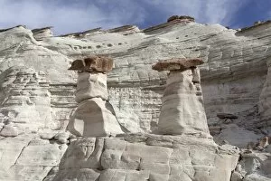 Images Dated 7th April 2011: Hoodoos, pillars of limestone rock, White Rocks, Page, Utah, USA