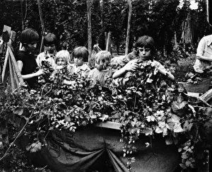 Hop Children