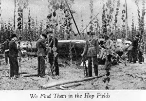 Salvage Prints: Find In Hop Fields