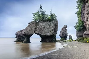 Images Dated 30th August 2013: Hopewell Rocks, NB