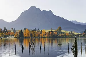 Hopfensee lake against Saeuling mountain, Hopfen am See, Ostallgaeu, Allgaeu, Swabia, Bavaria, Germany, Europe