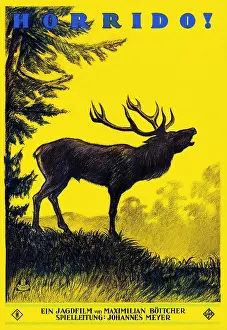 Cinema Prints: Horrido!