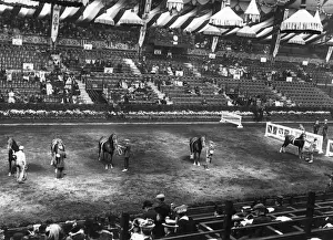 Horse Show