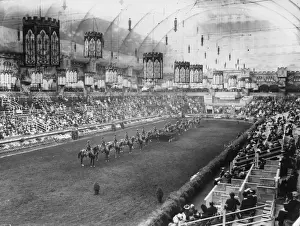 Electric Light Prints: Horse Show