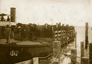 Horse Boat