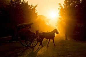 Images Dated 22nd December 2016: Horse carriage at the Bagan Archaeological Zone, Beautiful sunset scene of horsecart in Bagan