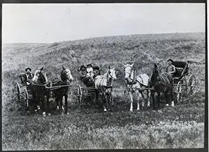 Frontiers Prints: Horse And Carriage Of Frontier Farmers