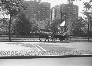 Horse carriage riding on street, (B&W)