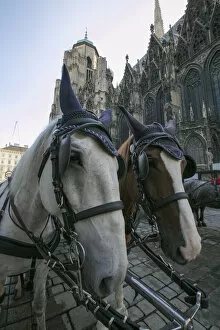 Images Dated 12th October 2014: Horse Carriage at the St. Stephens Cathedral, Vienna