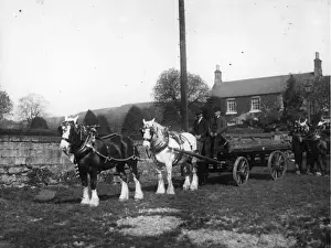 Ceremonies Europe Top Prints: Horse And Cart