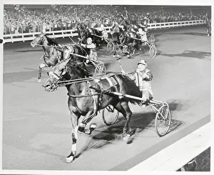 Horse Countess Adies Winning Race