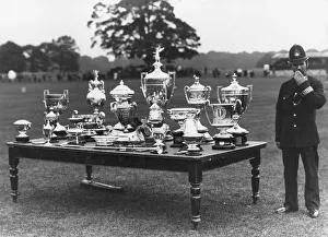 Guarding Collection: Horse Cups