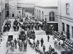 Delivery Prints: Horse Drawn Delivery Trucks In Street