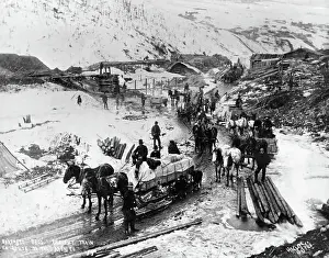 Sled Prints: Horse-Drawn Sleds Transporting Freight