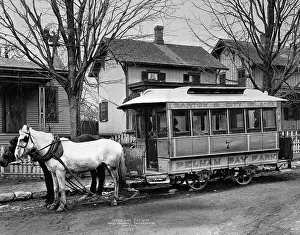 Streetcar Prints: Horse-Drawn Streetcar In The Bronx