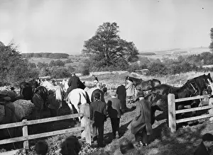 Horse Fair