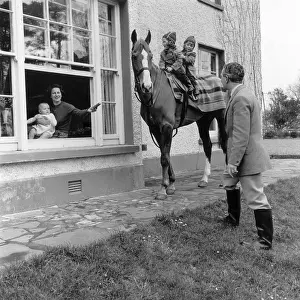 Equestrian Prints: Horse In The Family