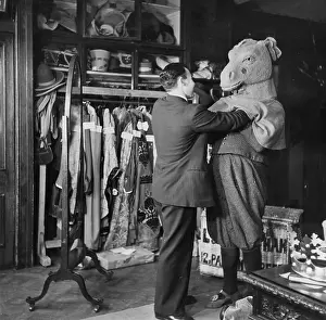 Shop Assistant Prints: Horse Play