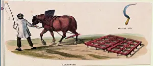 Partnership Prints: Horse Pulling Plough