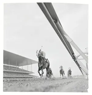 Jamaica Prints: Horse Race at Aqueduct