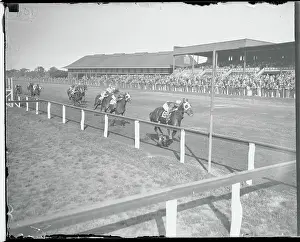 Jamaica Prints: Horse Race at the Finish