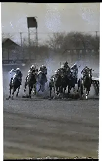 Horse Race In Progress
