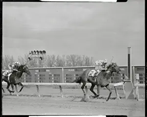 Horse Racers Coming to Finish Line