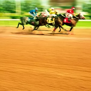 Racehorse Gallery: horse racing