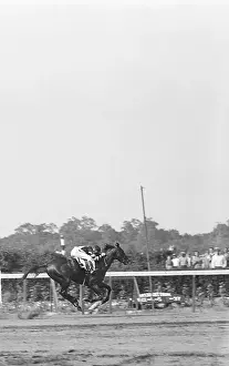 Jockey Prints: Horse Racing - Belmont Stakes