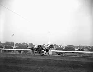 Horse Racing, Two Horses, One Winning