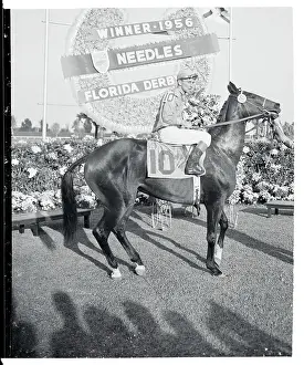 Horse and Rider Posing in Front of a Winner's Plaque