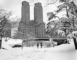 Horse Riders in Central Park Winter
