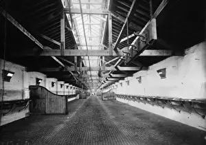 1911 Prints: Horse Stalls