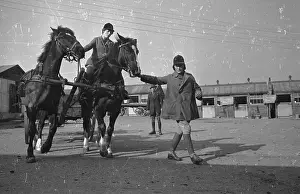 Sportswear Prints: Horse Training