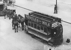 Horse-drawn Trams (Horsecars) Collection: Horse Tram