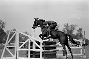 Equestrian Prints: Horse Trials