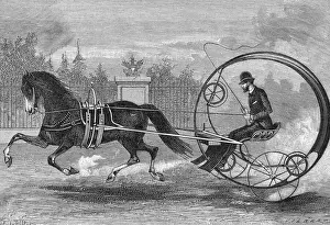 One Horse One Wheel Carriage