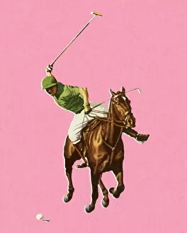 Images Dated 29th April 2015: Horseback Man Playing Polo