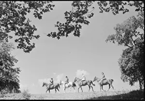 Pastoral Prints: Horseback Riders In The Distance
