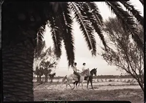 Horsemanship Prints: Horseback Riding Under Palm Trees