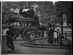 Horsedrawn Coach in Madison Park
