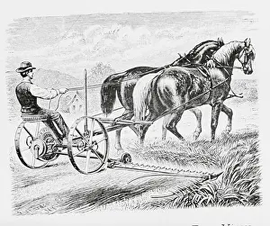 Horsedriven Cart with Device for Mowing Attached