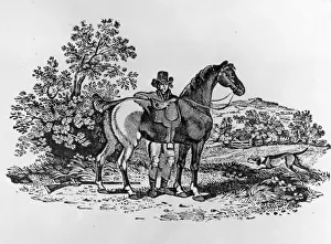 Horseman
