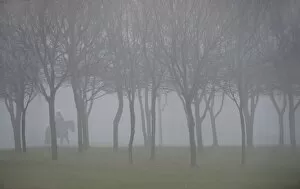 Images Dated 8th December 2012: Horseman in the fog