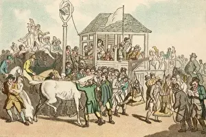 Horseracing Humour