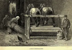 Horses on a Belgian Threshing Machine